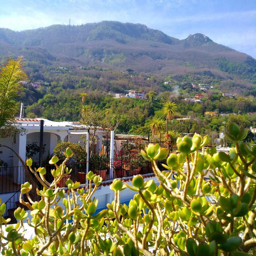 Hotel La Maggioressa Casamicciola Terme Bagian luar foto